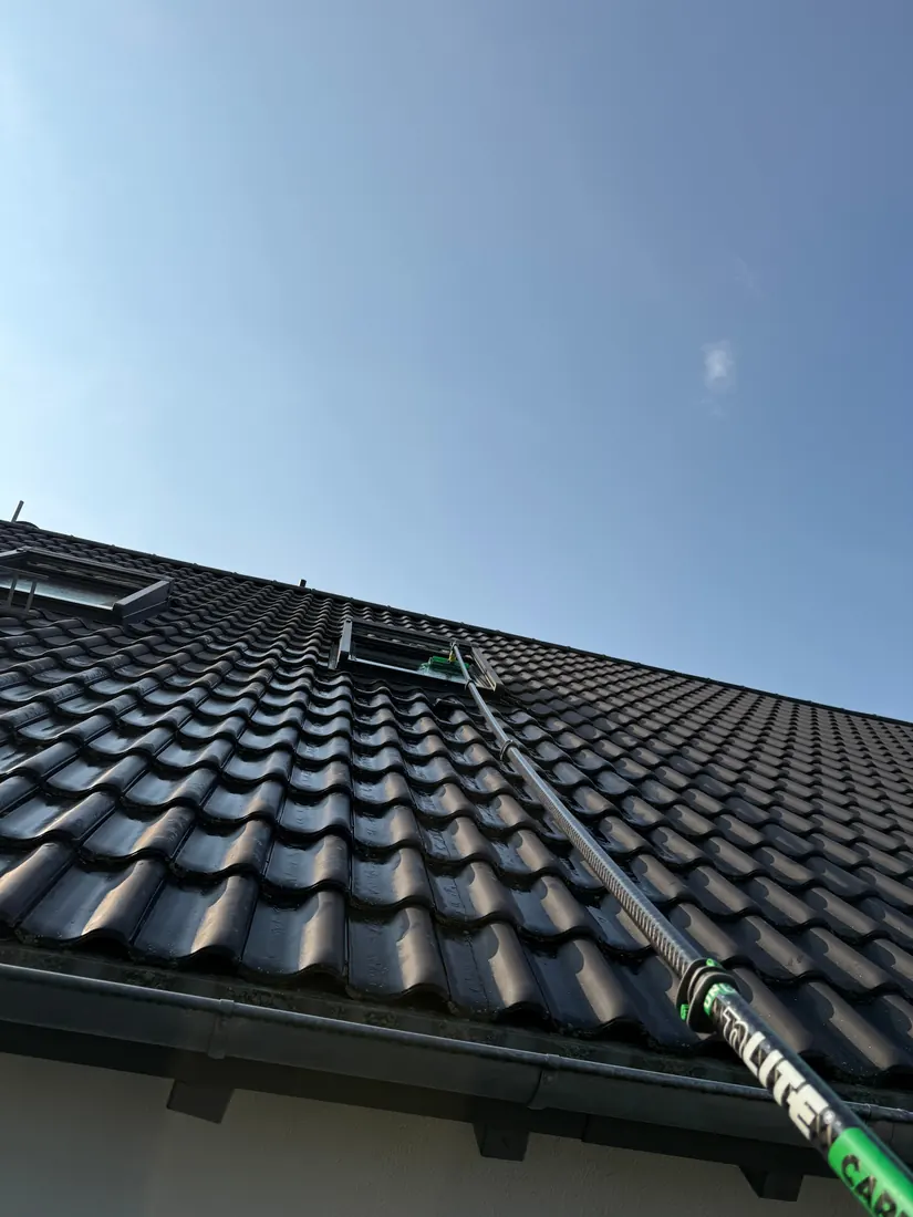Dachfenster-Reinigung mit Reinstwasser-Teleskopstange vom Boden aus in Reutlingen
